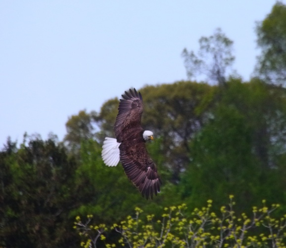 2019 05 08 HTP 90134e